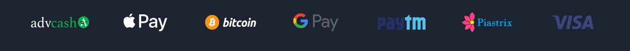 PalmerBet payment methods